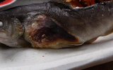 陽だまり(岩魚の塩焼き付)