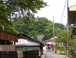奈良を観る 吉野コース 嵐山