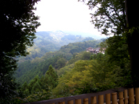 奈良を観る 吉野コース 一目千本の地