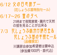 父の日感謝デー他