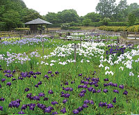 馬見丘陵公園