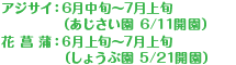 アジサイ：6月中旬～7月上旬、花菖蒲：6月上旬～7月上旬