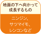 地面の下へ向かって成長するもの