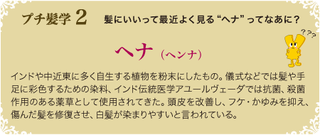 「ヘナ」ってなあに？