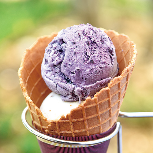 吉座 傳右衛門 親子丼