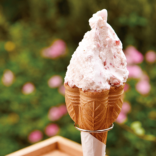 三代目 ごん太 元祖 博多長浜らーめん