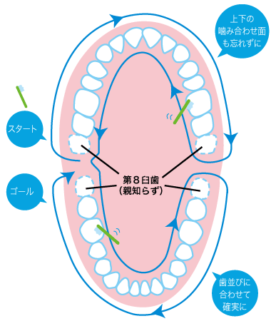 歯磨き説明イラスト