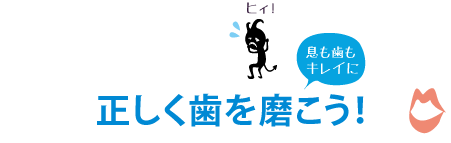 正しく歯を磨こう